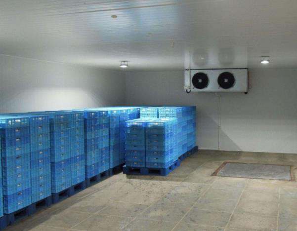 1634631690195748.jpg 1634631690195748.jpg