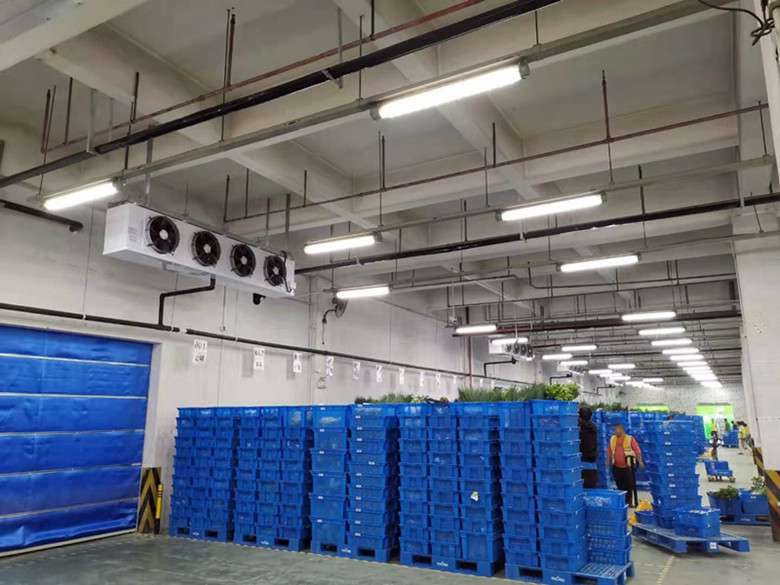 2400平廠房改建成生鮮冷藏庫應該如何來規劃設計?