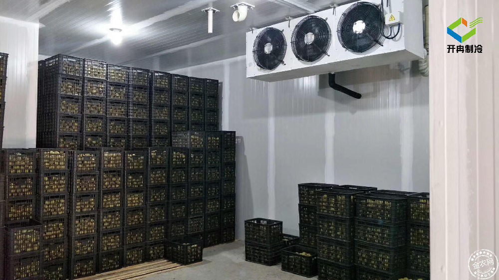 建造一個100噸的水果保鮮冷庫多少錢?