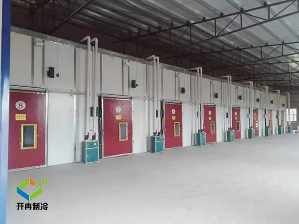 重慶水果氣調保鮮冷庫建造 重慶水果氣調保鮮冷庫建造