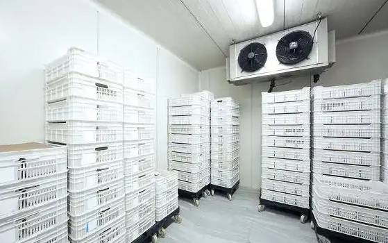 20平海鮮冷凍造價(jià)要多少?_開冉制冷