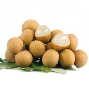 安裝一個桂圓(龍眼)保鮮冷庫,投資成本大概多少