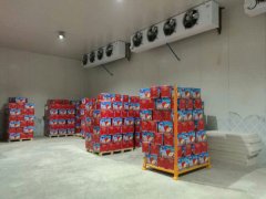 山東安裝一個500噸蘋果保鮮庫需要多少錢？