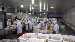 在浙江安裝一個(gè)水產(chǎn)海鮮冷庫(kù)要投資多少錢?