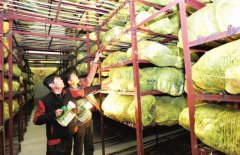 4000噸蔬菜冷庫安裝價(jià)格大概多少