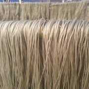 建造一個500噸粉絲冷庫造價多少？