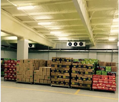 600噸蔬菜保鮮庫(kù) 600噸蔬菜保鮮庫(kù)