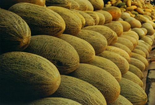 哈密瓜保鮮冷庫(kù) 哈密瓜保鮮冷庫(kù)