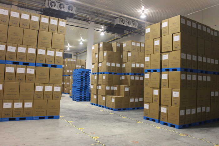 2000平方食品冷庫 2000平方食品冷庫