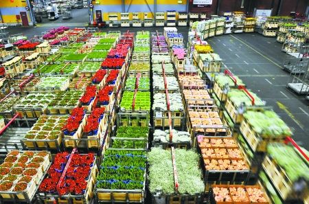 800平米鮮花保鮮冷庫 800平米鮮花保鮮冷庫