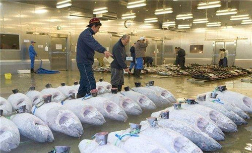 2000噸魚類冷庫 2000噸魚類冷庫