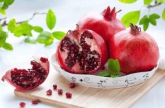 石榴冷藏庫儲存方法及安裝工程造價是多少錢？