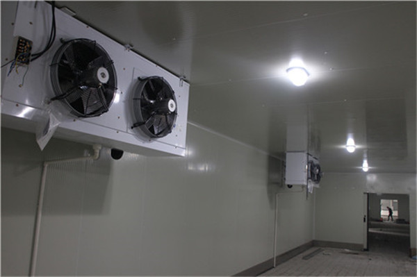 畜禽肉冷凍冷庫冷風(fēng)機 畜禽肉冷凍冷庫冷風(fēng)機