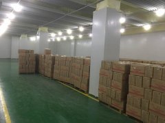 建500噸凍肉冷凍冷庫投資，占地面積多少