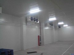 GSP醫(yī)療冷庫2-8℃冷庫建設(shè)報價，案例