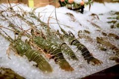 海鮮保存溫度？海鮮冷凍庫價格多少錢