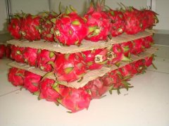 做一個水果氣調保鮮庫安裝大概需要多少錢?