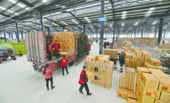 火龍果保鮮庫造價,溫度可以存儲多久?