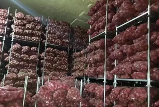 洋蔥在冷庫存儲多久，洋蔥冷藏庫安裝設(shè)計(jì)及造價(jià)