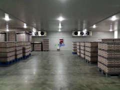 裝一座500噸葡萄保鮮庫造價怎么算,存儲多久?