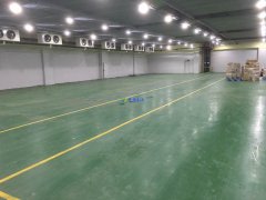 700平米水果冷庫(kù)造價(jià)多少,0-5℃保鮮庫(kù)建造一平價(jià)格