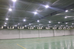 2000平-18℃牛肉凍庫倉儲改造,肉類低溫庫造價