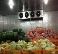 50噸蔬菜保鮮庫決定造價(jià)的因素有哪些？