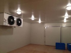  上海安裝冷庫公司，保鮮冷庫設(shè)計(jì)，小型冷庫造價(jià)