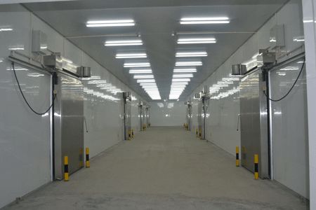 冷庫多個(gè)分間實(shí)拍圖速凍冷庫 冷庫多個(gè)分間實(shí)拍圖速凍冷庫